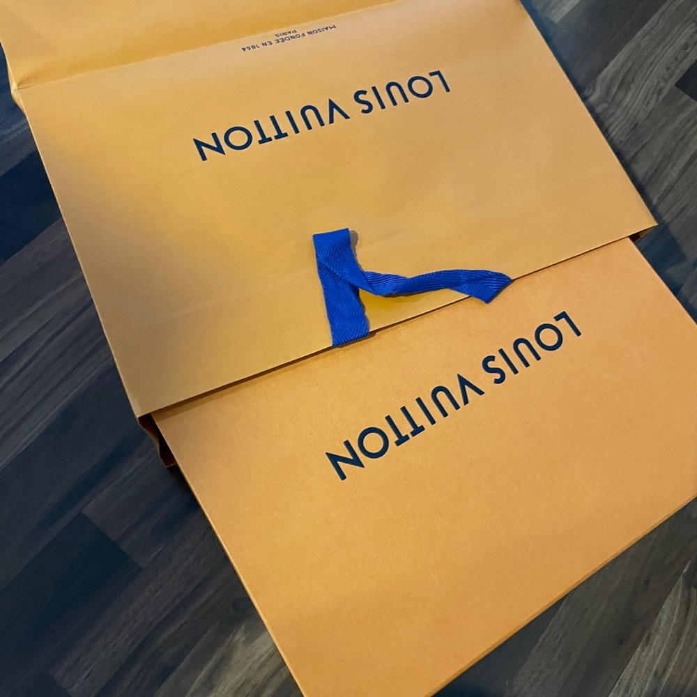 Louis vuitton empty shoe box and bag